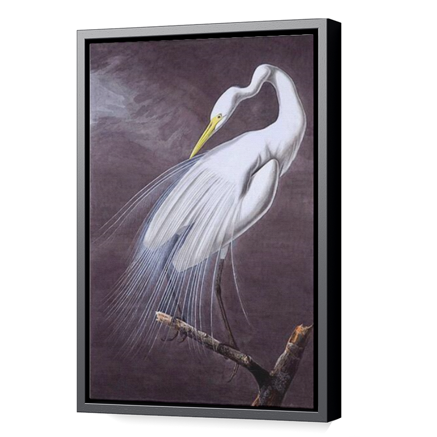 Thumbnail for Canvas - Black Floating Frame