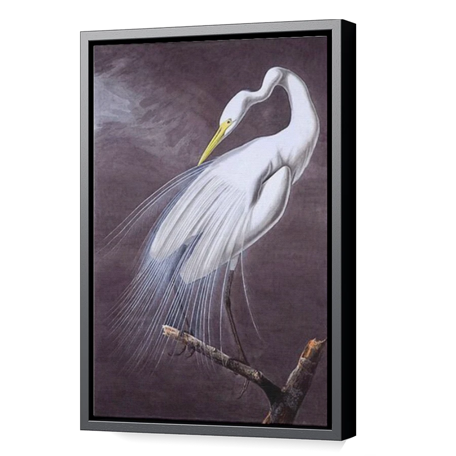 Thumbnail for Canvas - Black Floating Frame