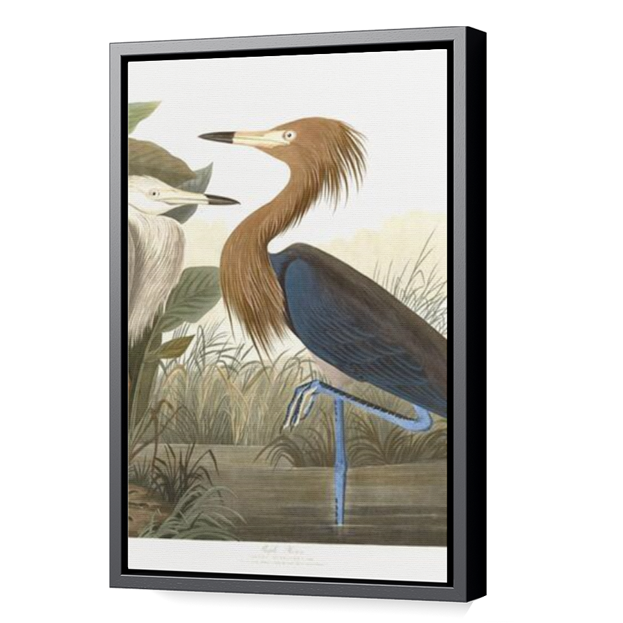 Thumbnail for Canvas - Black Floating Frame