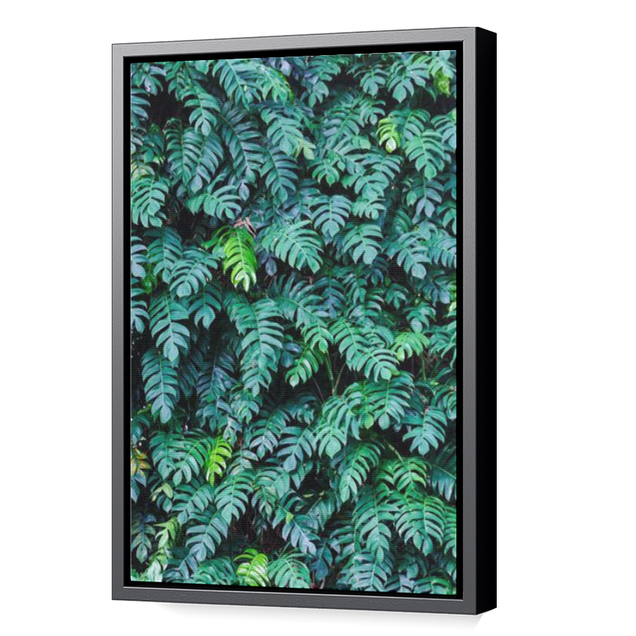 Thumbnail for Canvas - Black Floating Frame
