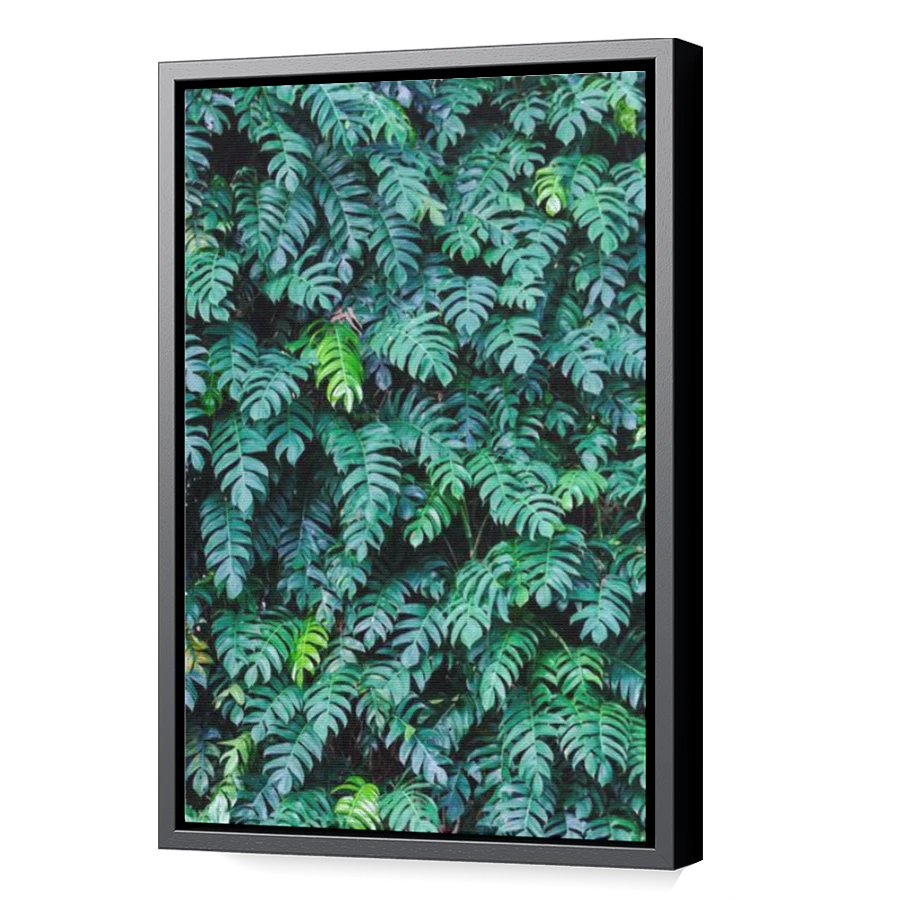 Thumbnail for Canvas - Black Floating Frame