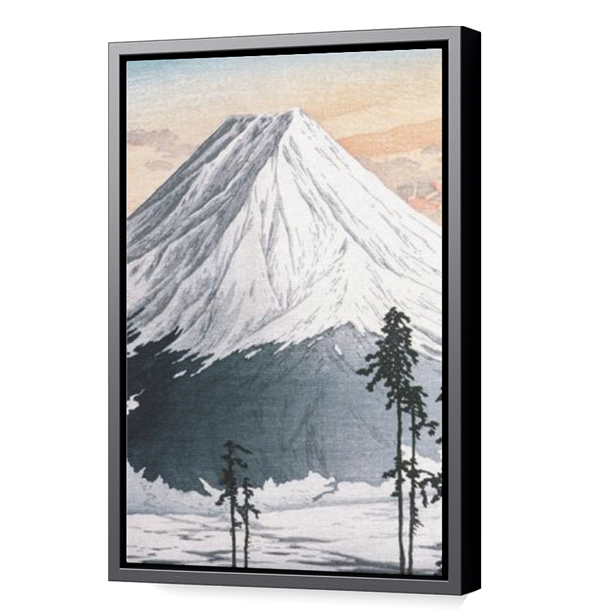 Thumbnail for Canvas - Black Floating Frame