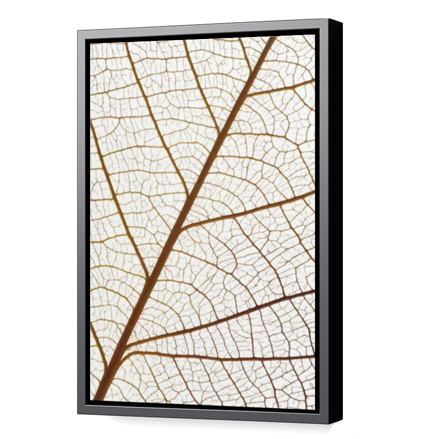 Thumbnail for Canvas - Black Floating Frame