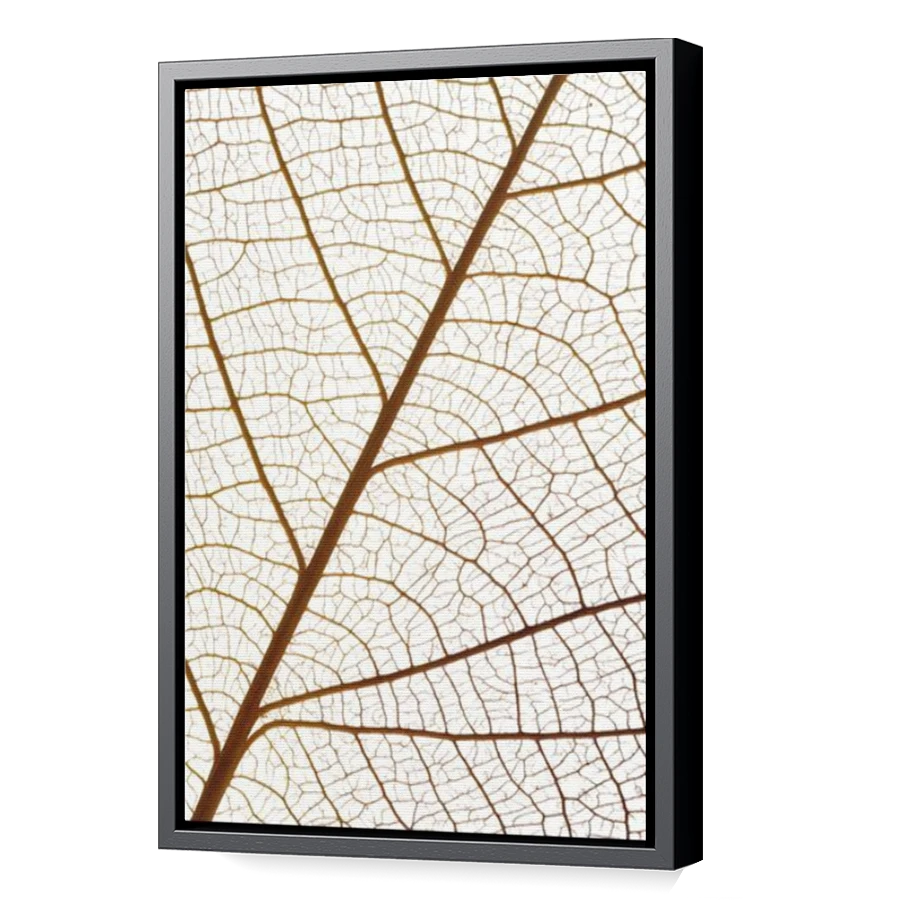 Thumbnail for Canvas - Black Floating Frame