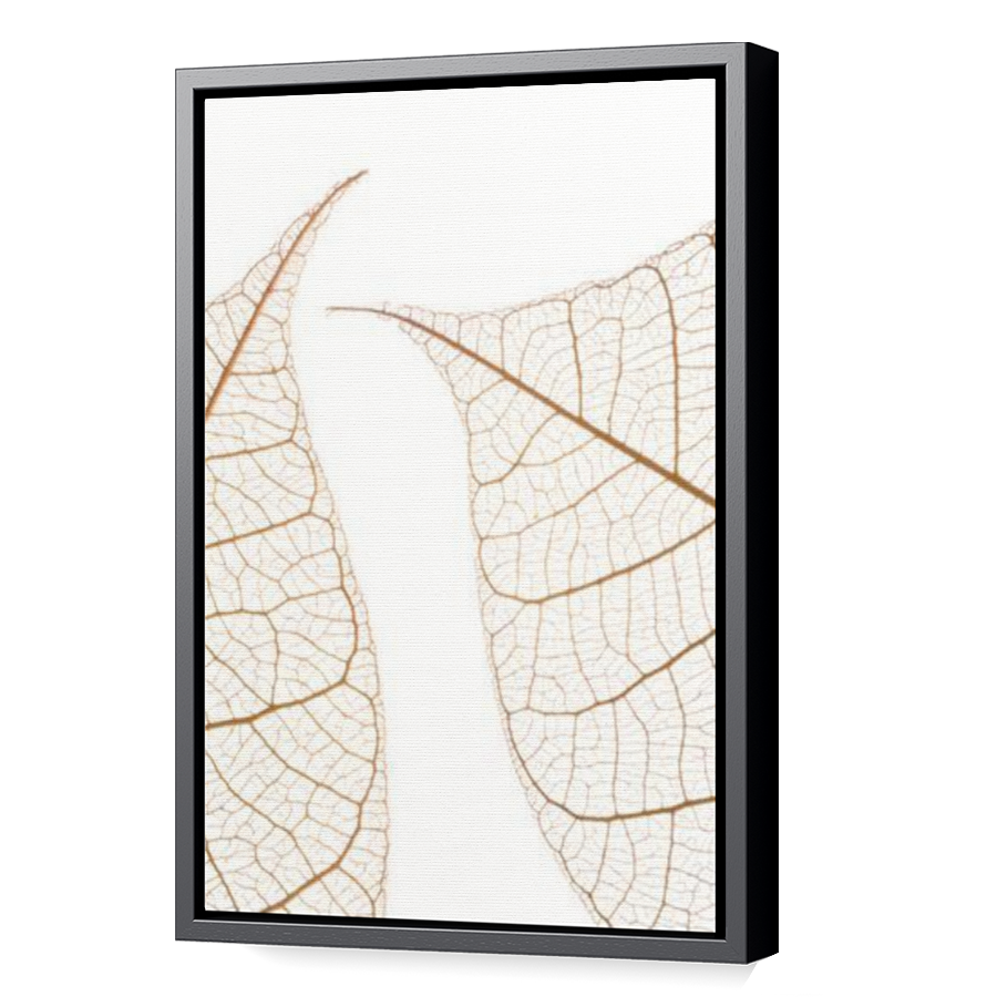 Thumbnail for Canvas - Black Floating Frame