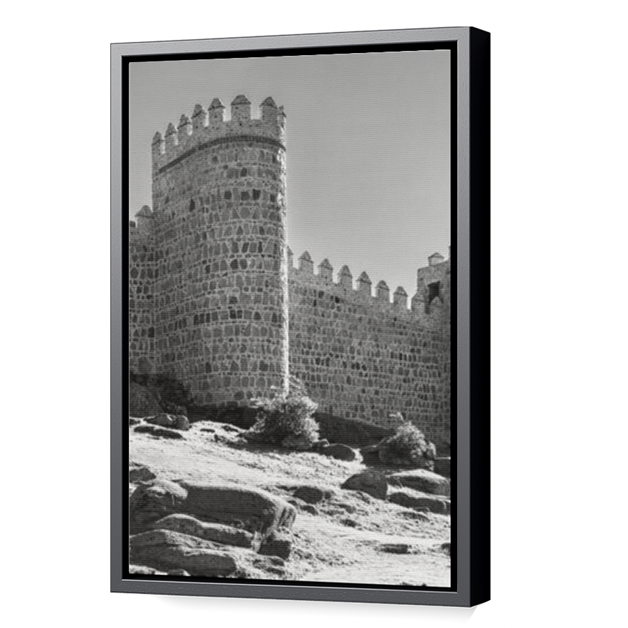 Thumbnail for Canvas - Black Floating Frame