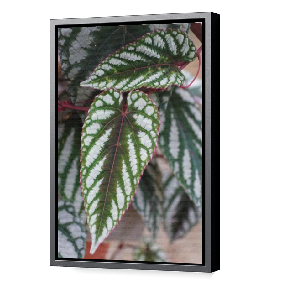 Thumbnail for Canvas - Black Floating Frame
