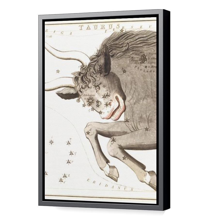 Thumbnail for Canvas - Black Floating Frame