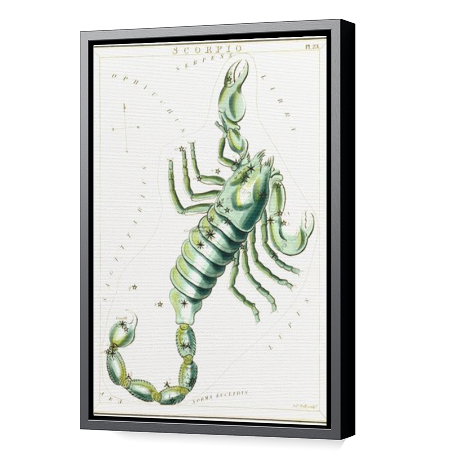 Thumbnail for Canvas - Black Floating Frame