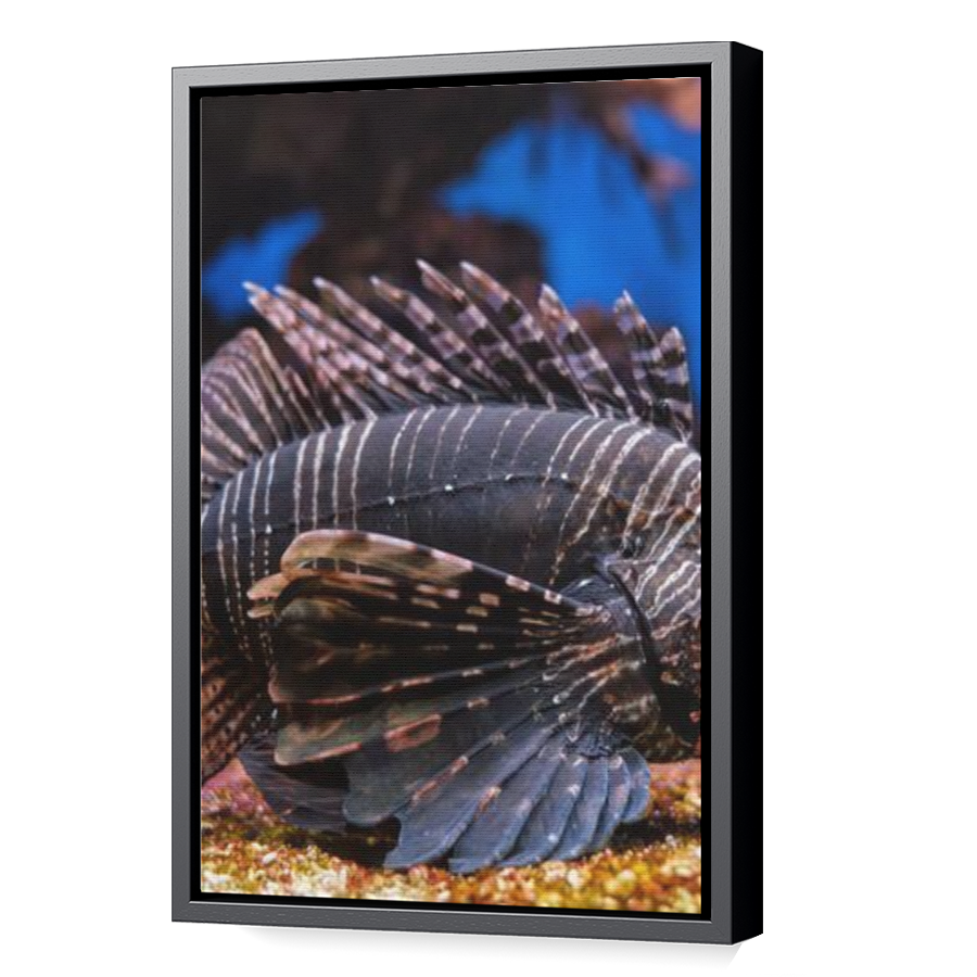 Thumbnail for Canvas - Black Floating Frame