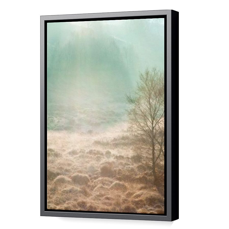 Thumbnail for Canvas - Black Floating Frame
