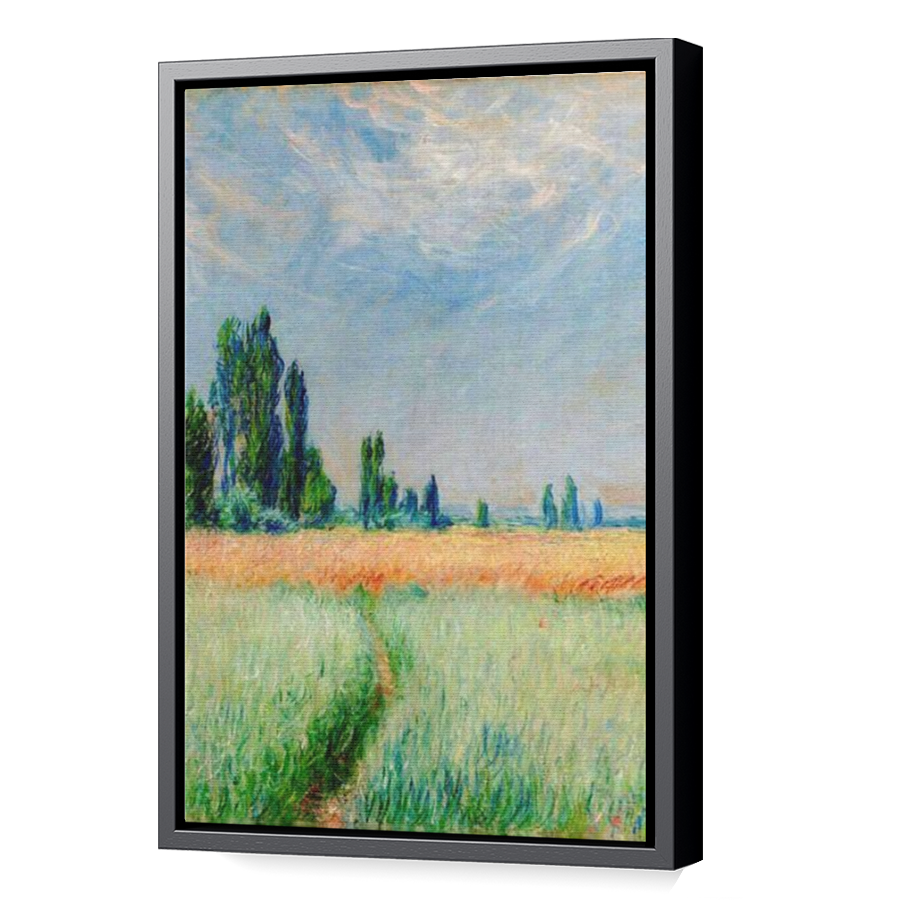 Thumbnail for Canvas - Black Floating Frame