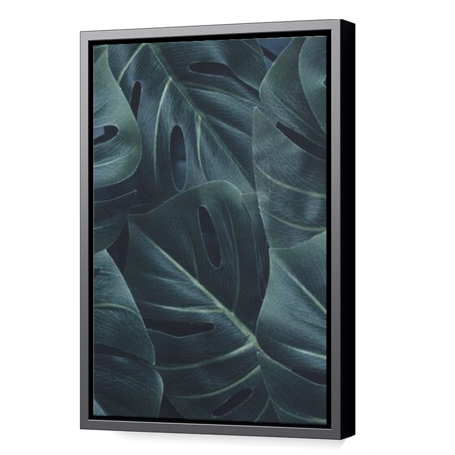 Thumbnail for Canvas - Black Floating Frame
