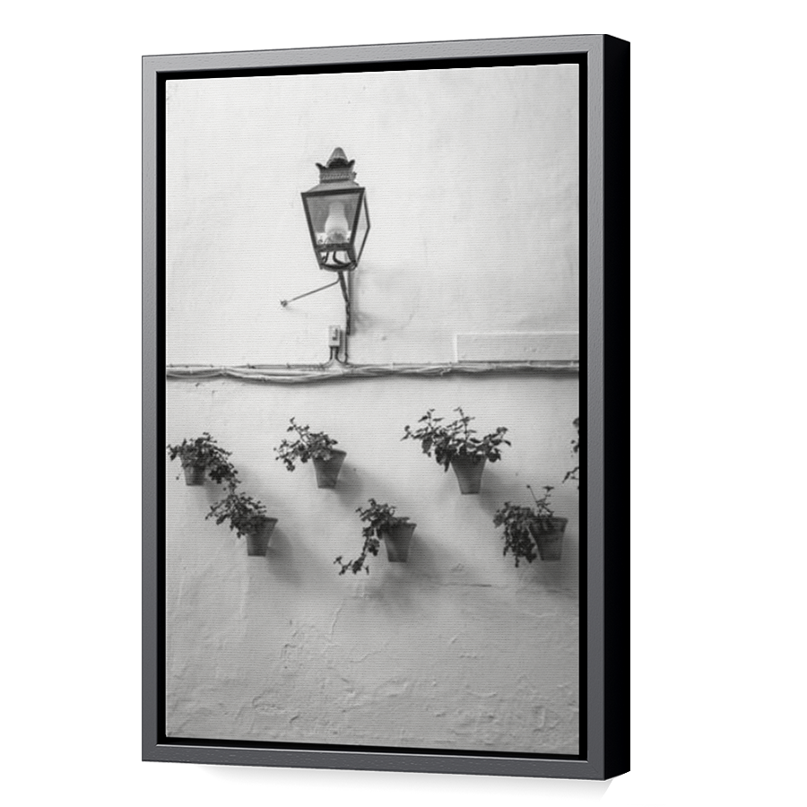 Thumbnail for Canvas - Black Floating Frame