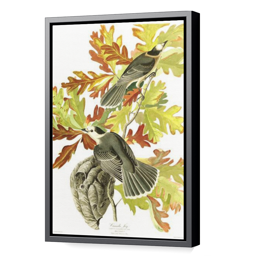 Thumbnail for Canvas - Black Floating Frame