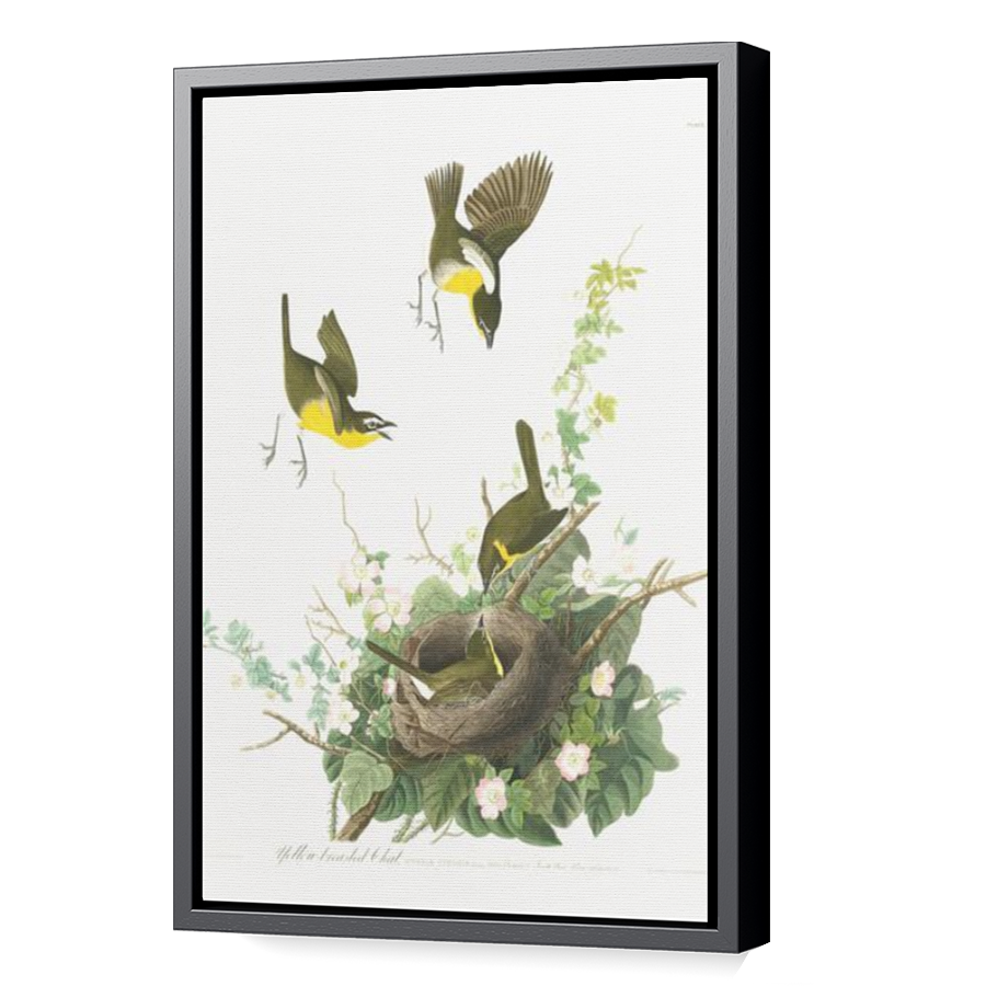 Thumbnail for Canvas - Black Floating Frame