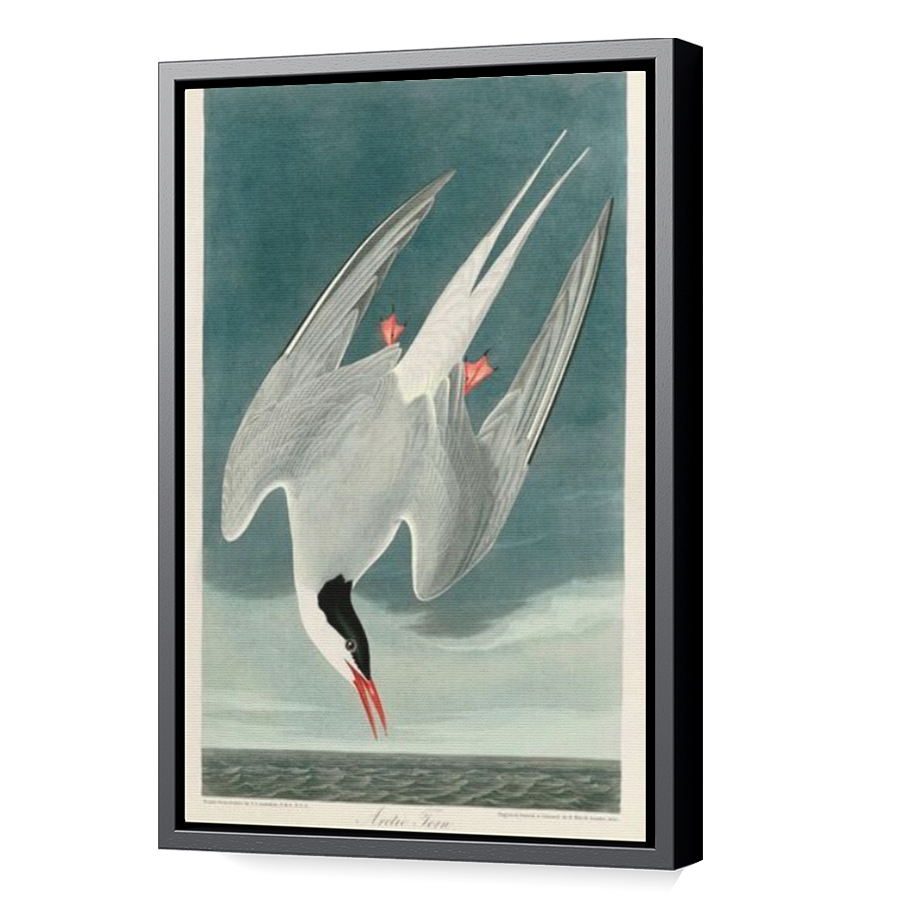 Thumbnail for Canvas - Black Floating Frame