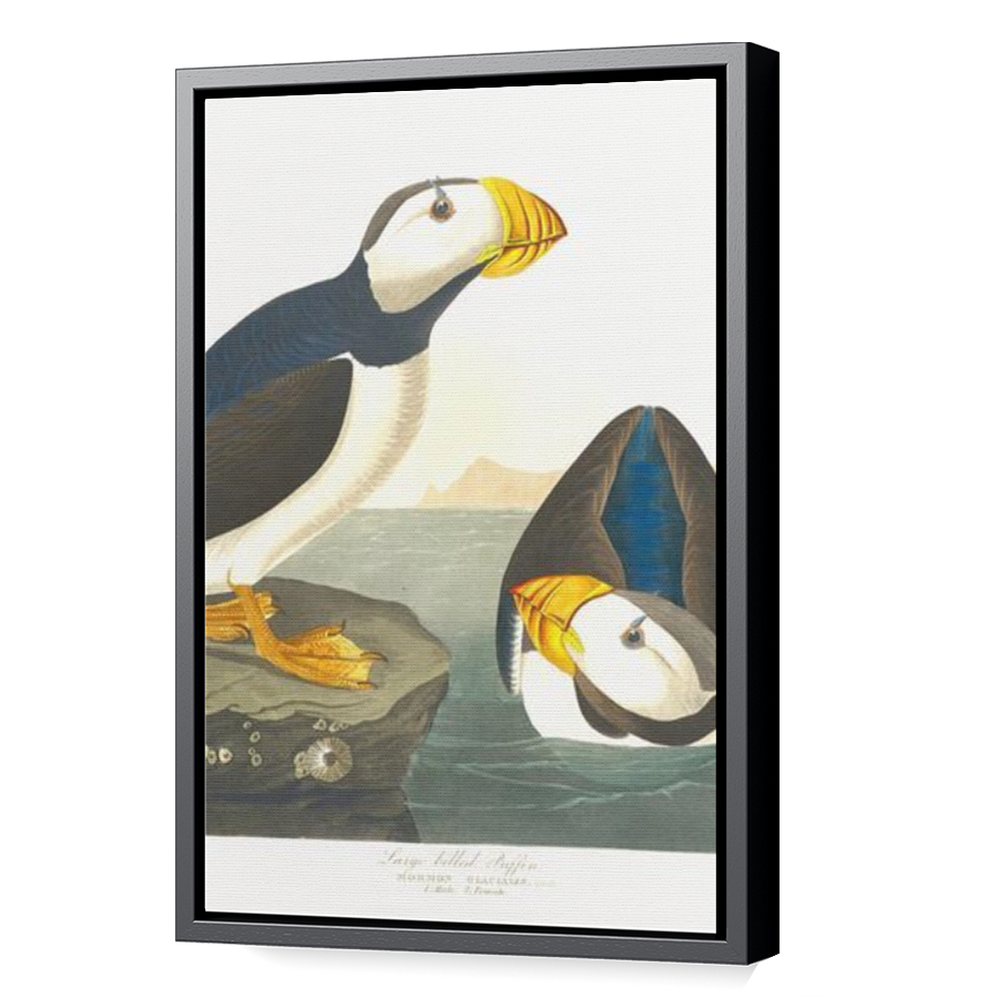 Thumbnail for Canvas - Black Floating Frame
