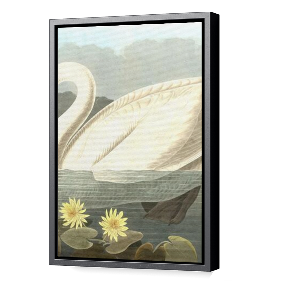 Thumbnail for Canvas - Black Floating Frame