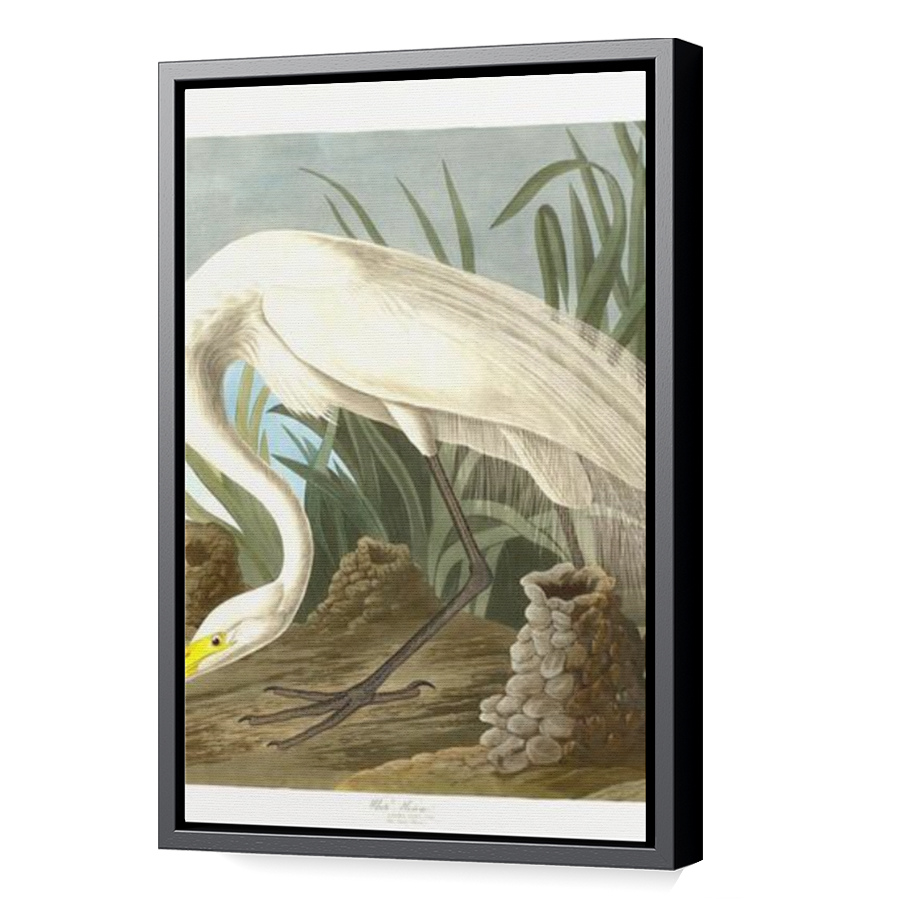 Thumbnail for Canvas - Black Floating Frame