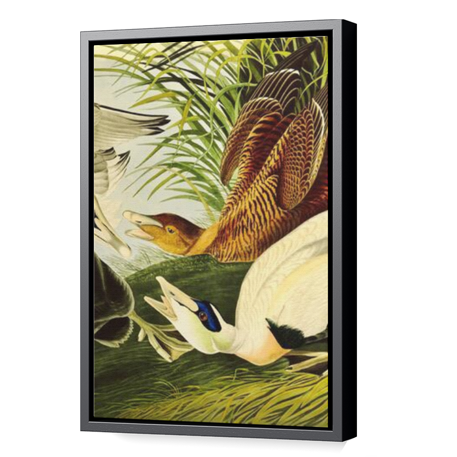 Thumbnail for Canvas - Black Floating Frame