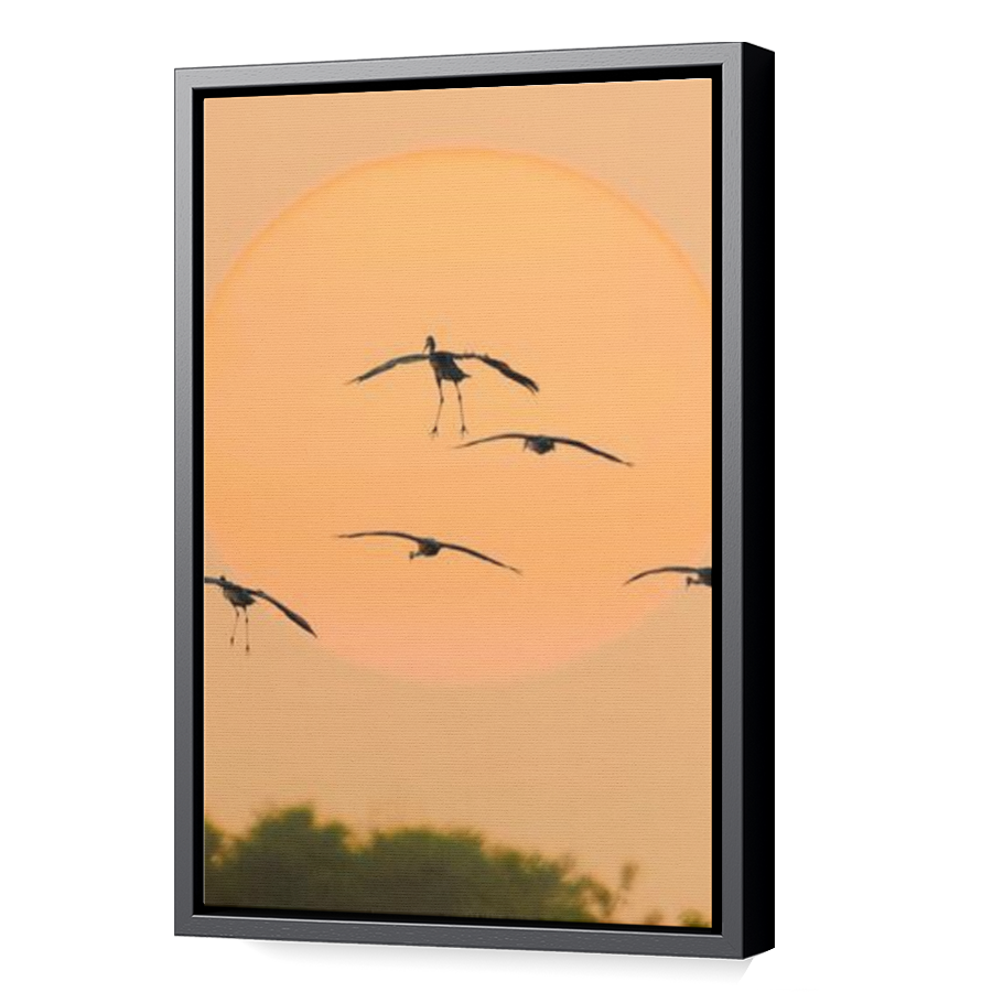Thumbnail for Canvas - Black Floating Frame