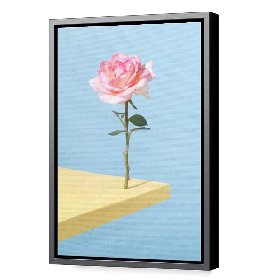 Thumbnail for Canvas - Black Floating Frame