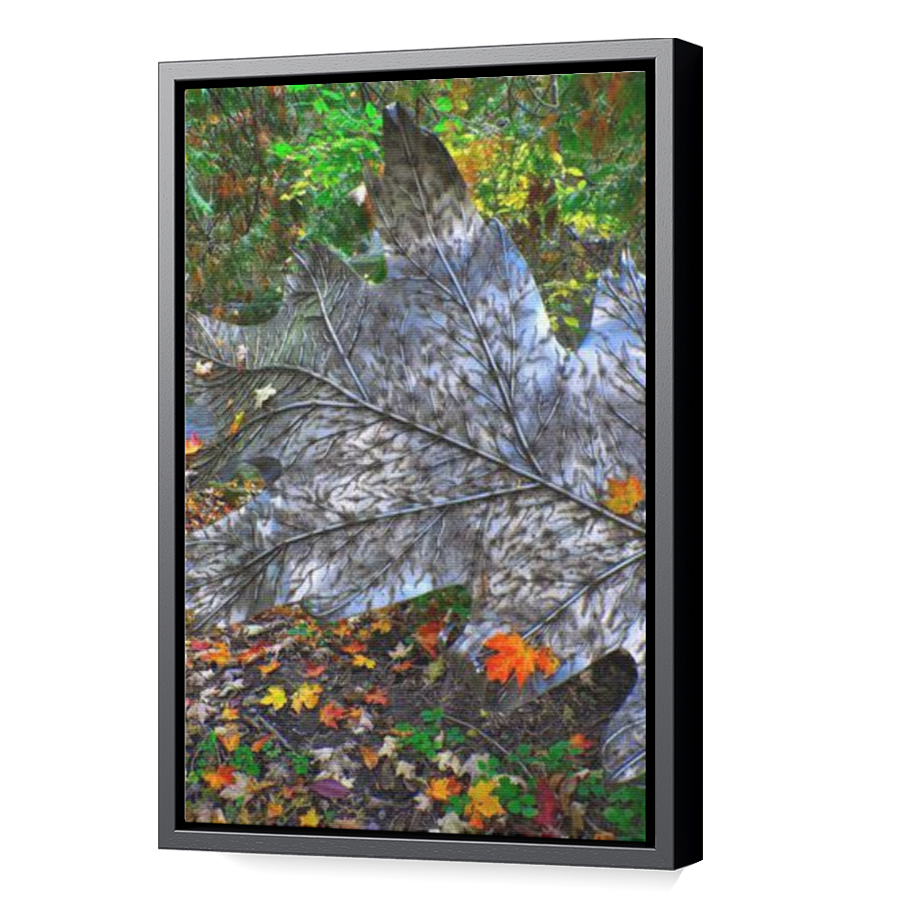 Thumbnail for Canvas - Black Floating Frame