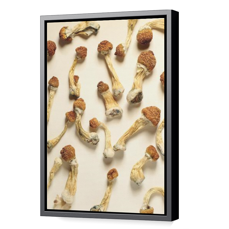 Thumbnail for Canvas - Black Floating Frame