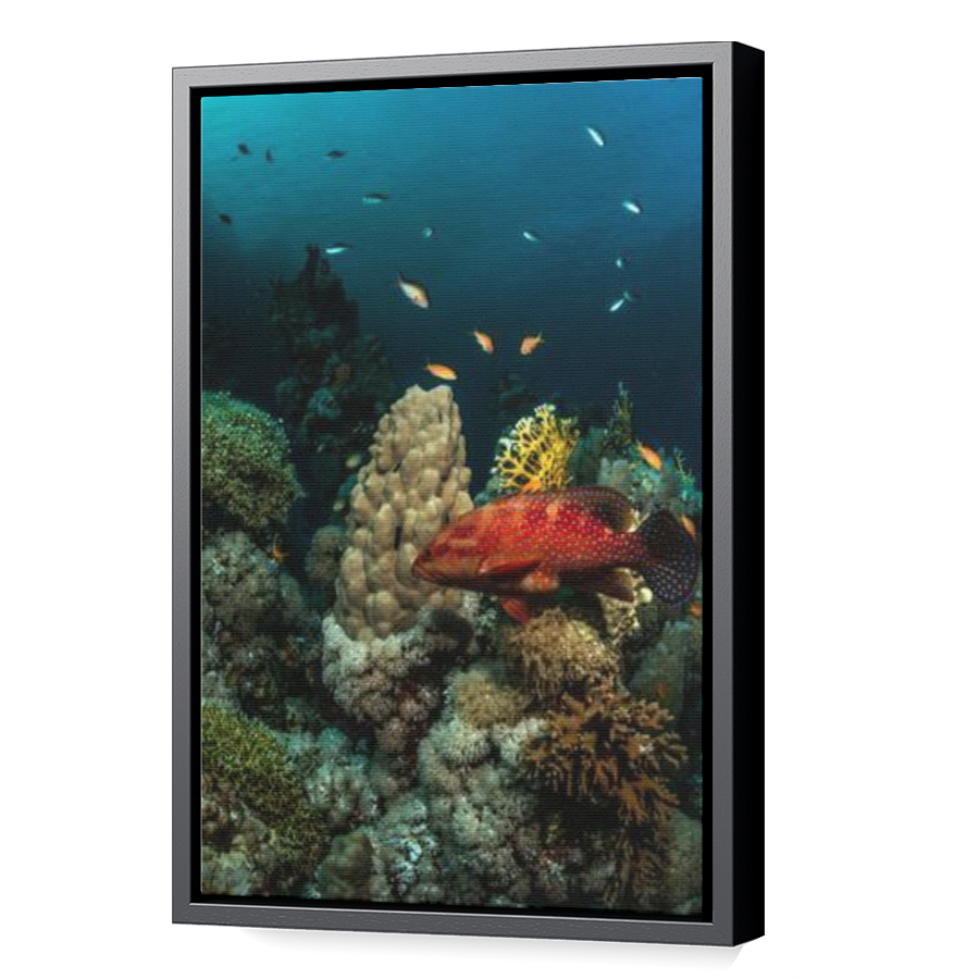 Thumbnail for Canvas - Black Floating Frame