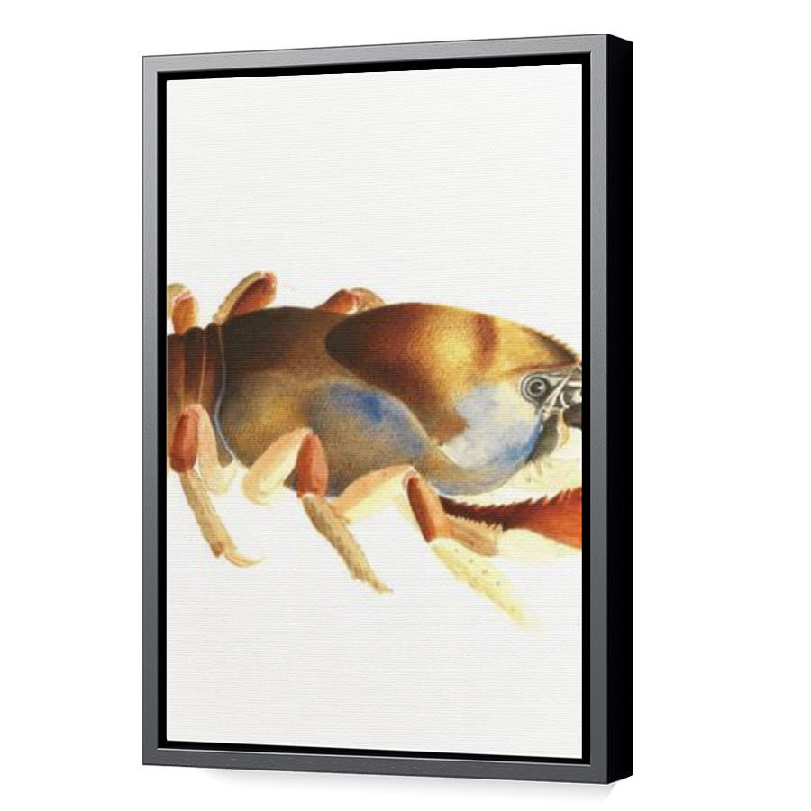 Thumbnail for Canvas - Black Floating Frame