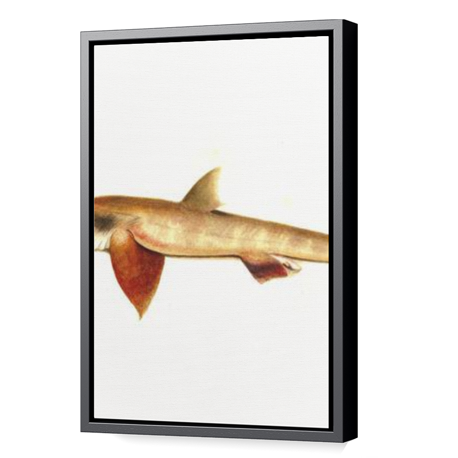 Thumbnail for Canvas - Black Floating Frame