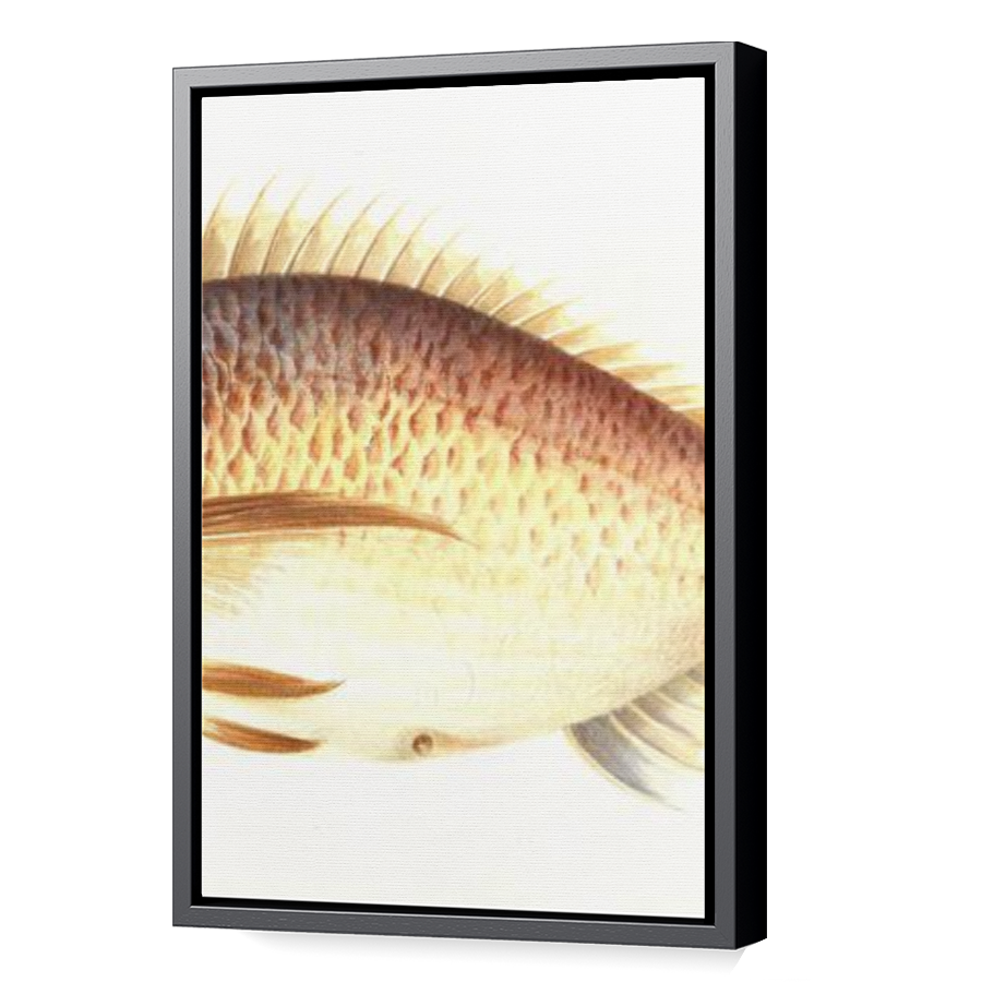 Thumbnail for Canvas - Black Floating Frame