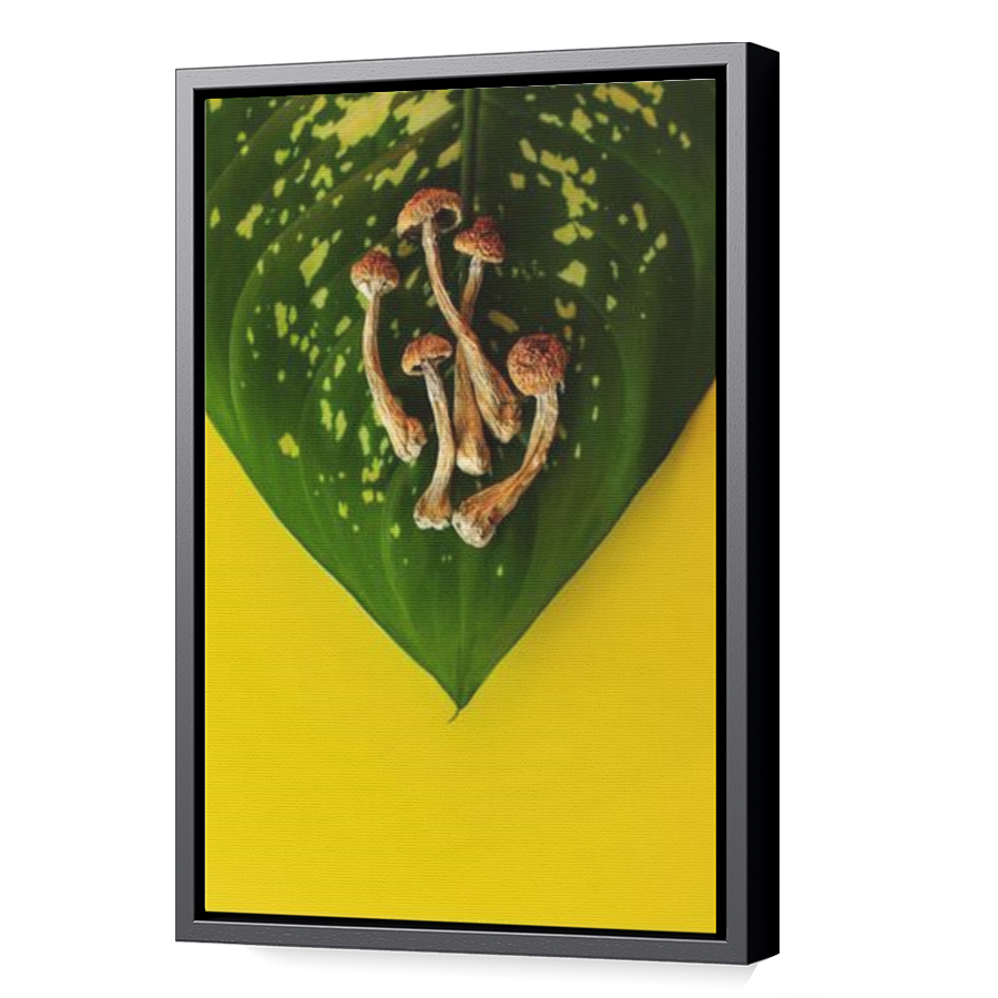 Thumbnail for Canvas - Black Floating Frame