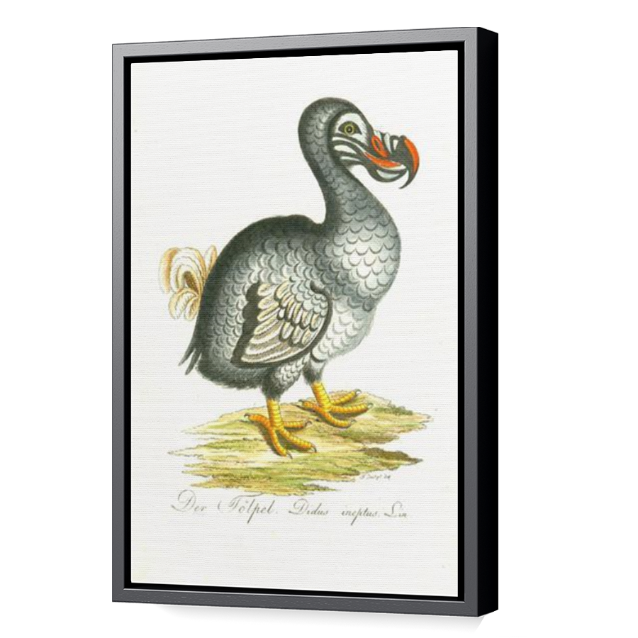 Thumbnail for Canvas - Black Floating Frame