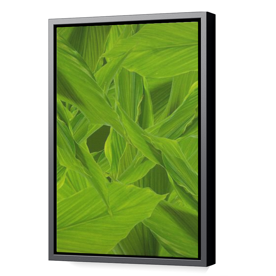 Thumbnail for Canvas - Black Floating Frame