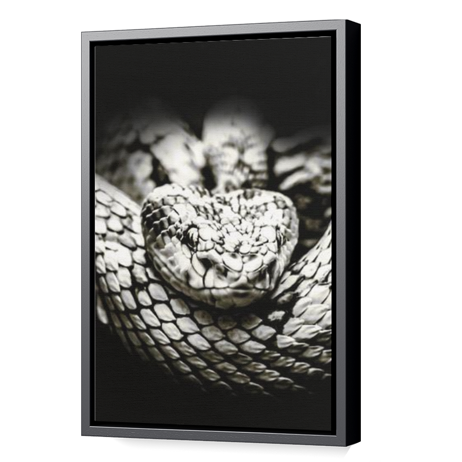 Thumbnail for Canvas - Black Floating Frame