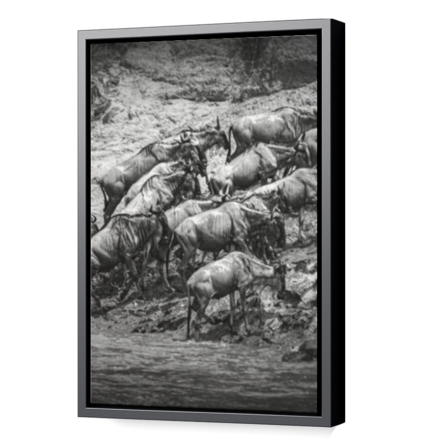 Thumbnail for Canvas - Black Floating Frame