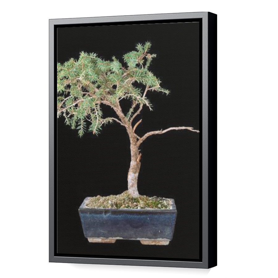 Thumbnail for Canvas - Black Floating Frame