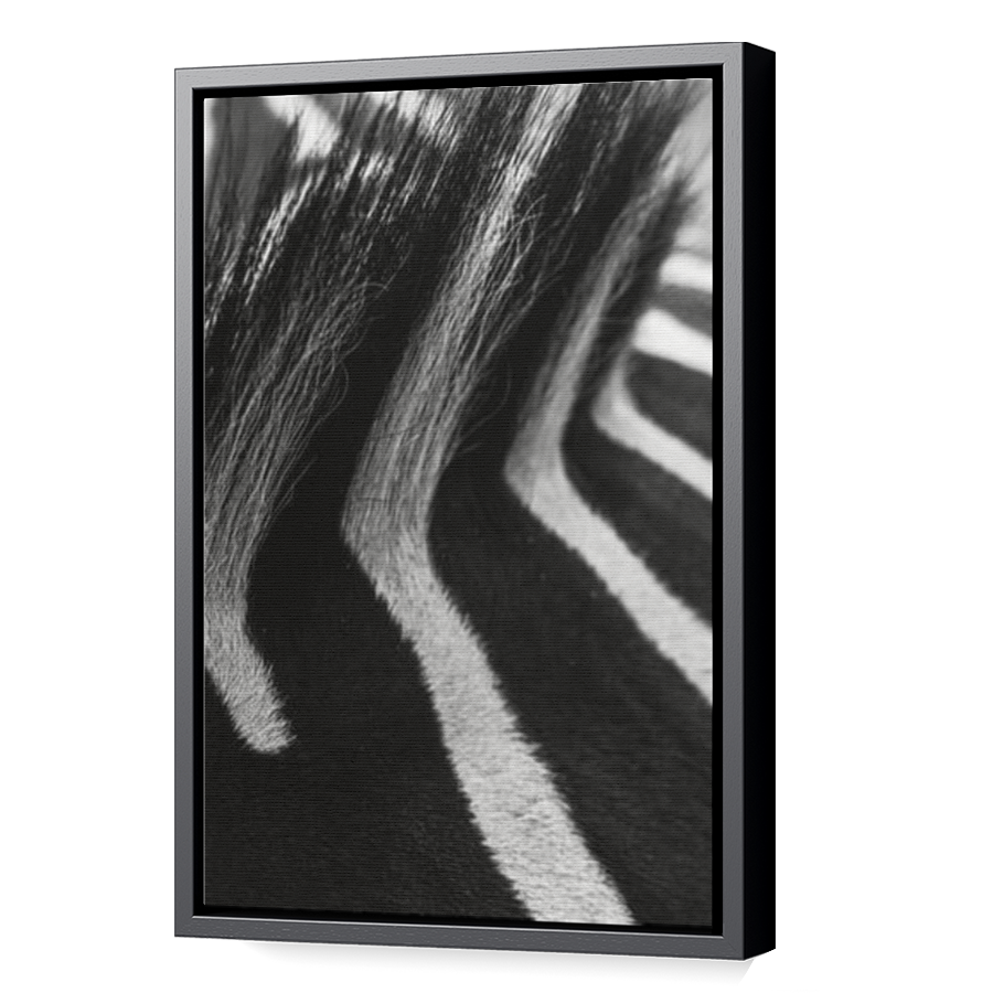 Thumbnail for Canvas - Black Floating Frame
