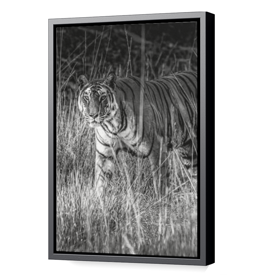 Thumbnail for Canvas - Black Floating Frame