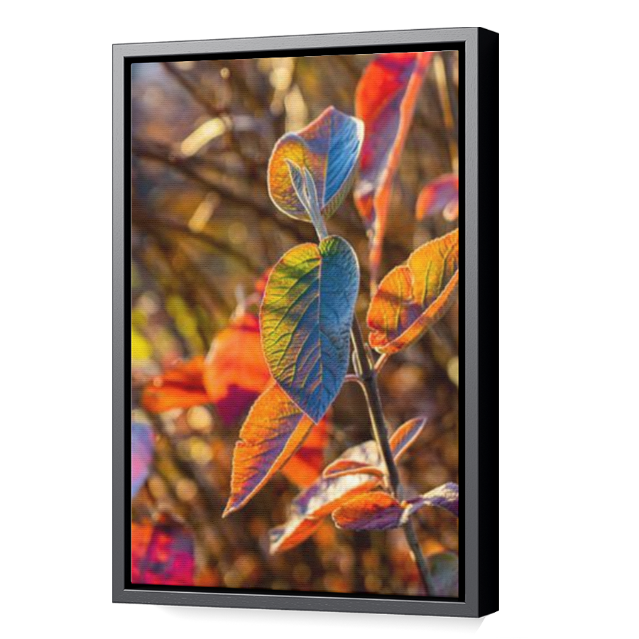 Thumbnail for Canvas - Black Floating Frame
