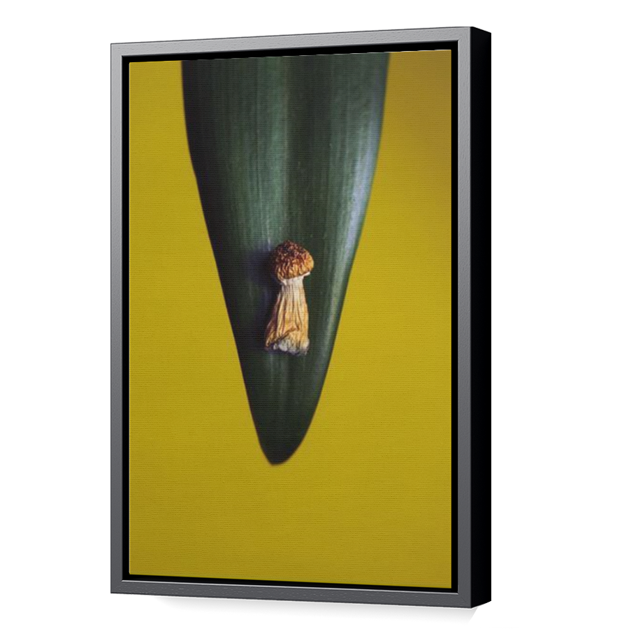 Thumbnail for Canvas - Black Floating Frame