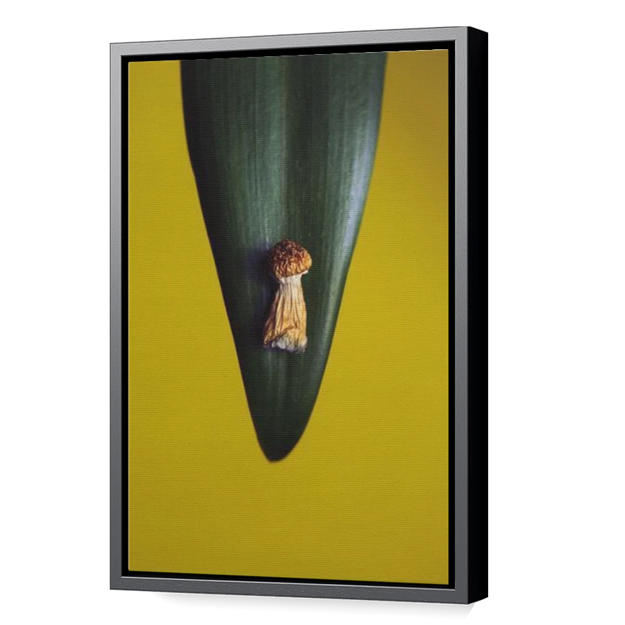 Thumbnail for Canvas - Black Floating Frame