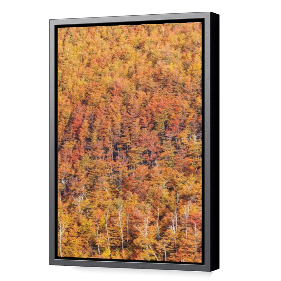 Thumbnail for Canvas - Black Floating Frame