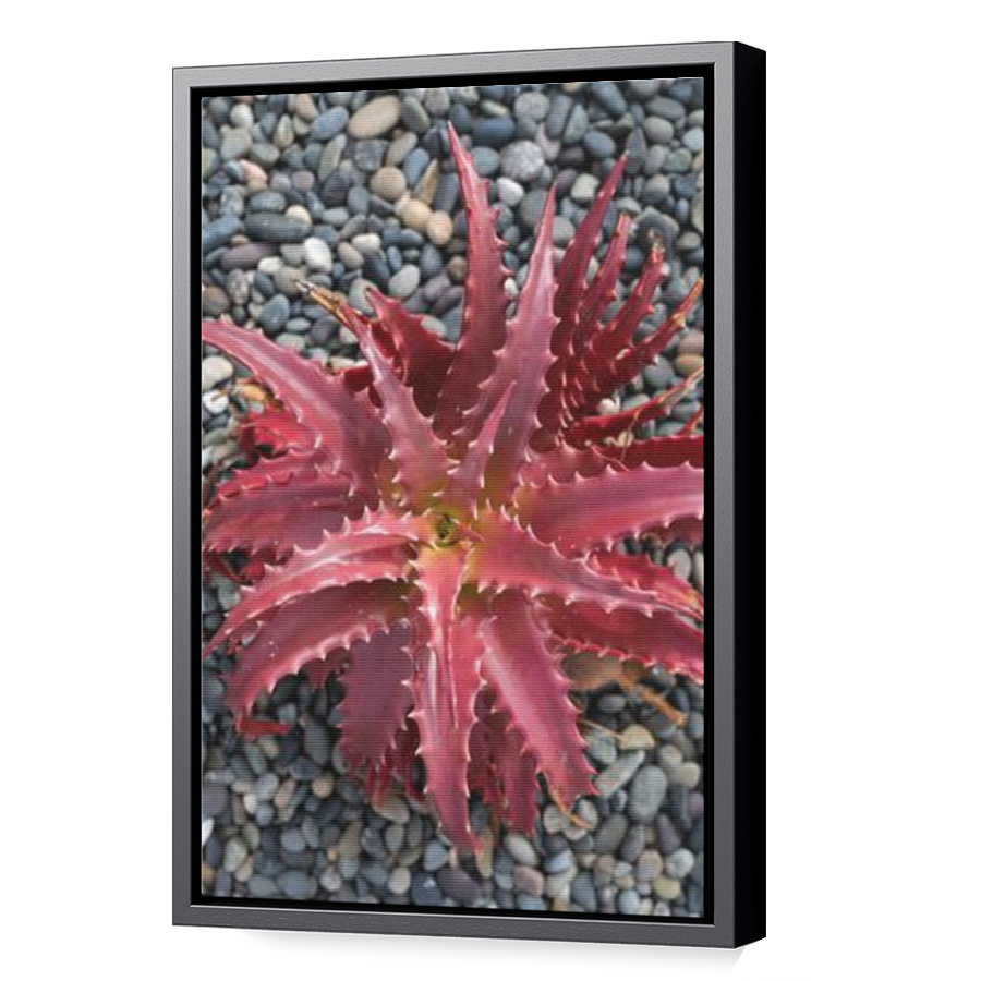 Thumbnail for Canvas - Black Floating Frame