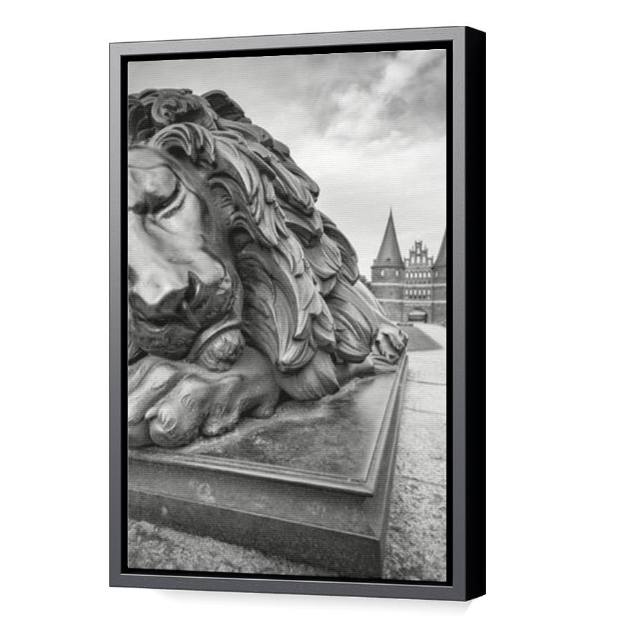 Thumbnail for Canvas - Black Floating Frame