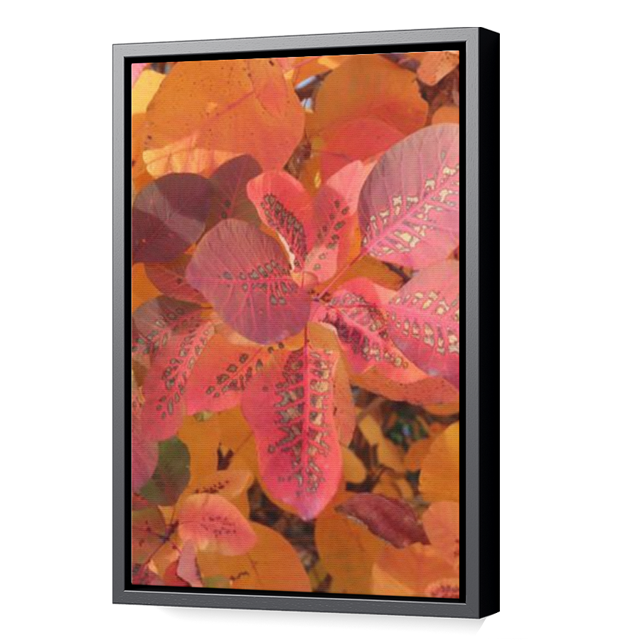 Thumbnail for Canvas - Black Floating Frame