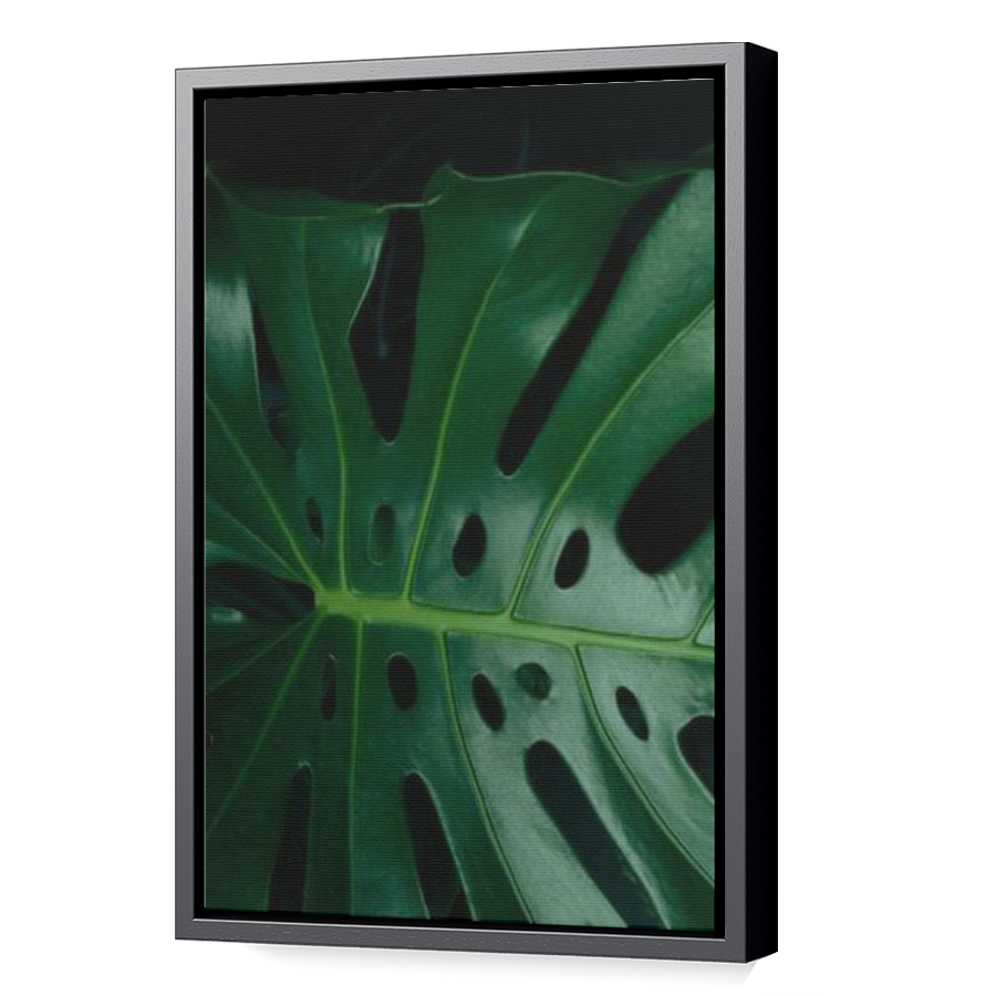 Thumbnail for Canvas - Black Floating Frame