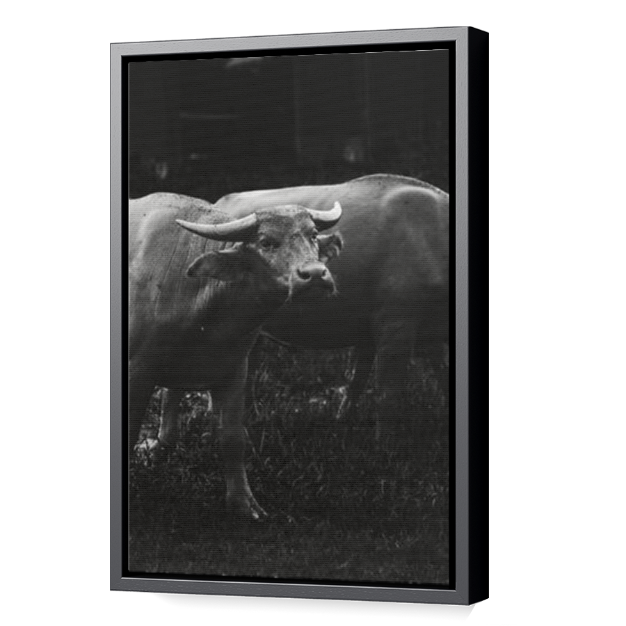 Thumbnail for Canvas - Black Floating Frame
